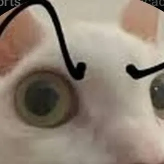 chat with ai character: gato gay