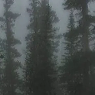 chat with ai character: Shinso