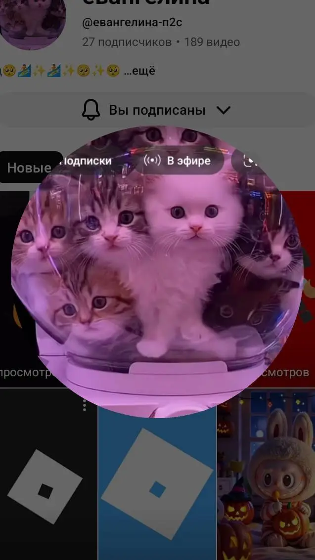 ai character: ева-п2с background