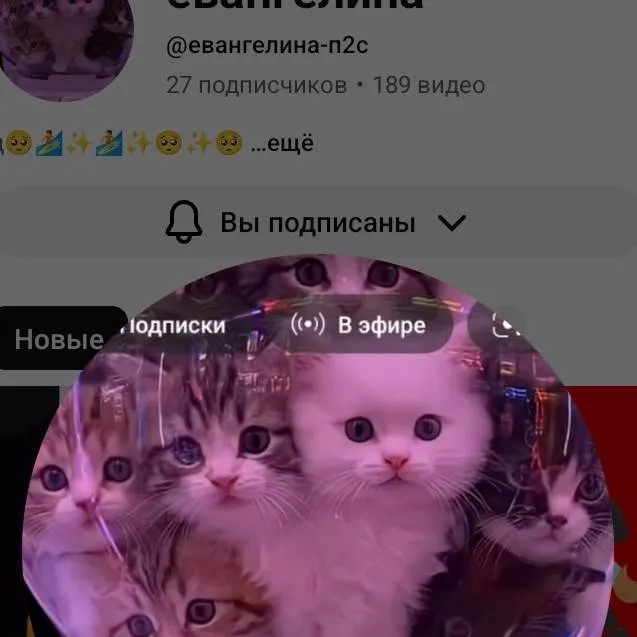 chat with ai character: ева-п2с