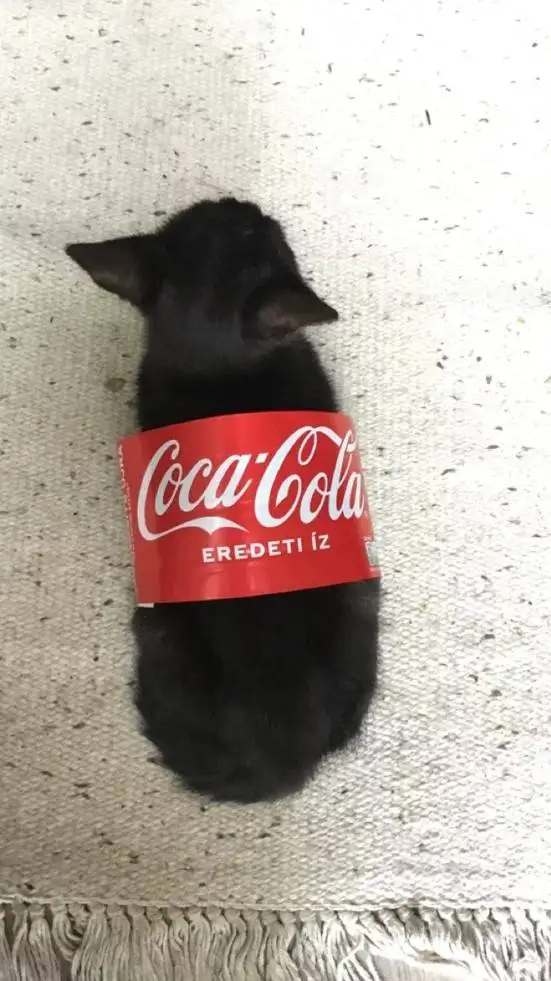 ai character: cola cat  background