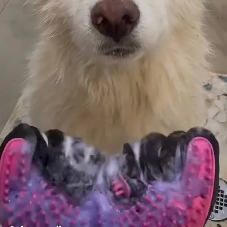 chat with ai character: Sprout