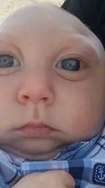 ai character: υк×ƒяαη¢є background