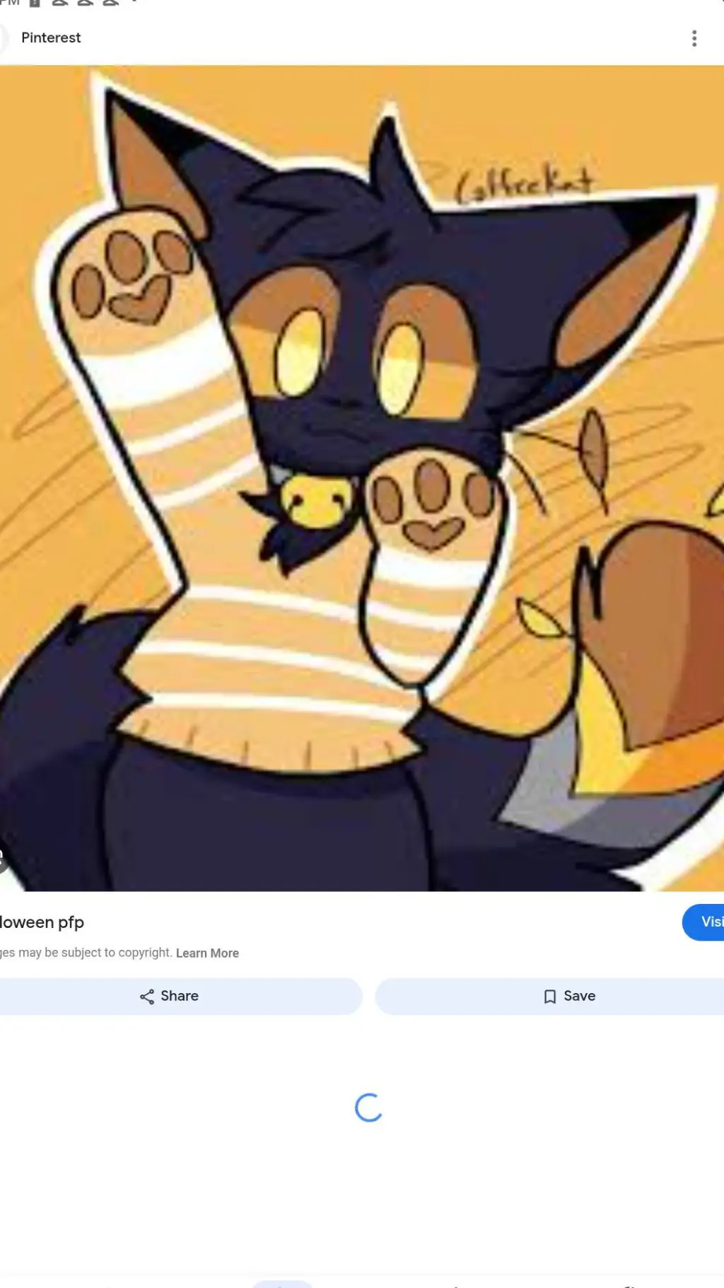 ai character: aizawa cat background