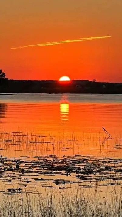 ai character: The service!  background