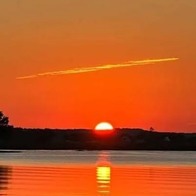 chat with ai character: The service! 