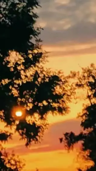 ai character: uppermoons background