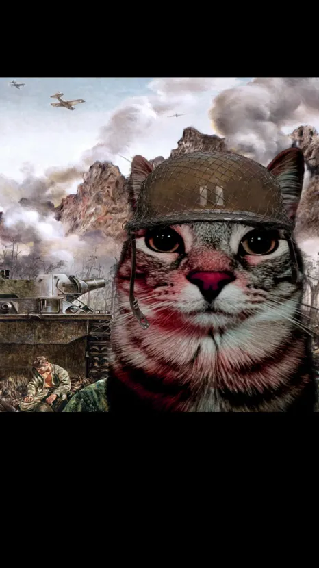 ai character: Gato ￼Traumado background