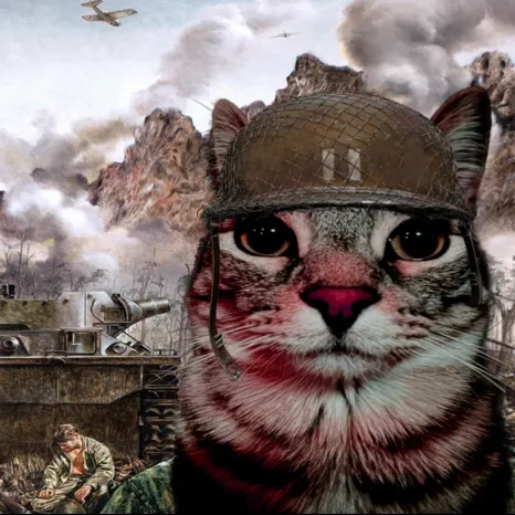 chat with ai character: Gato ￼Traumado