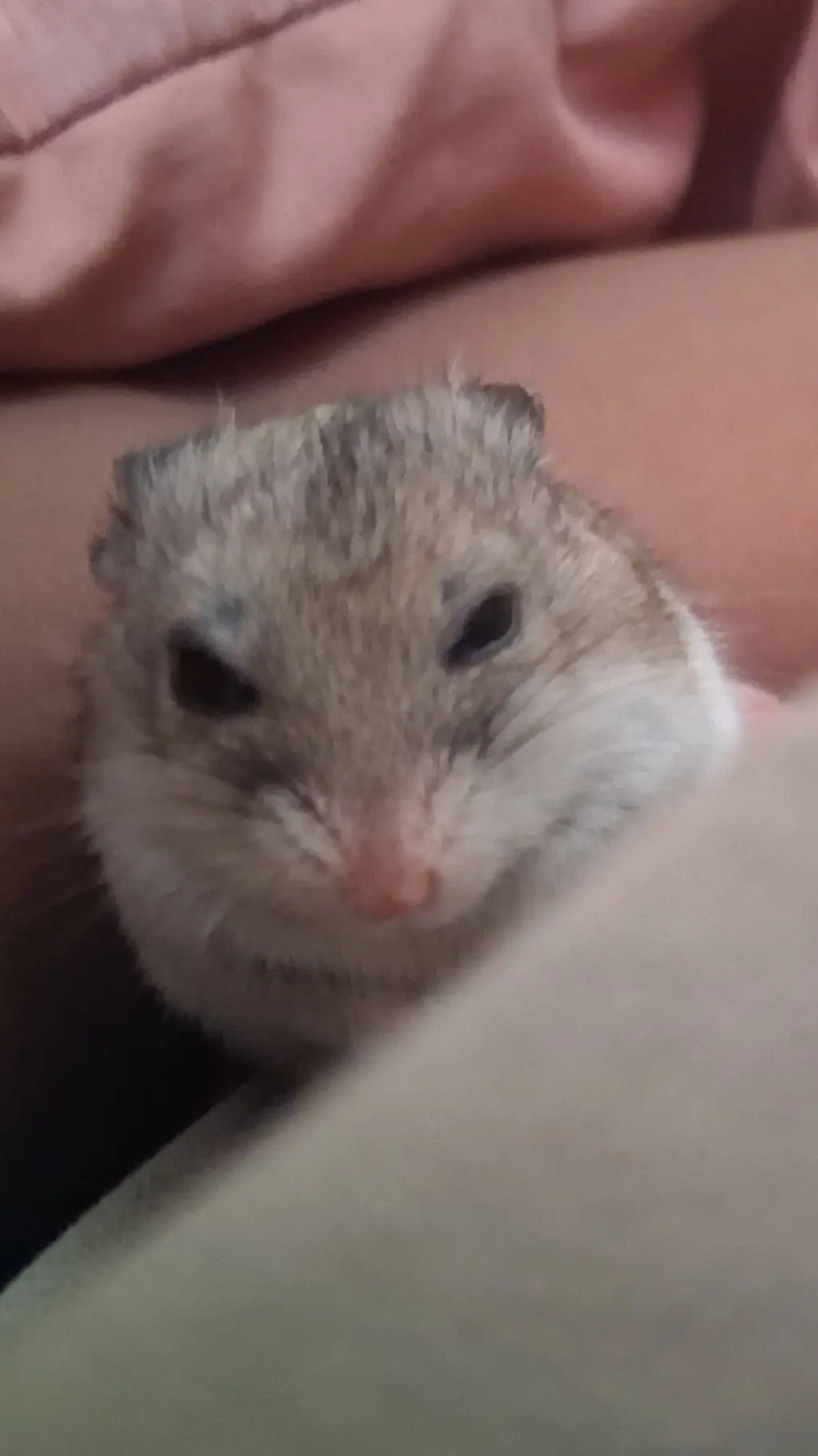 ai character: dandys world trip background