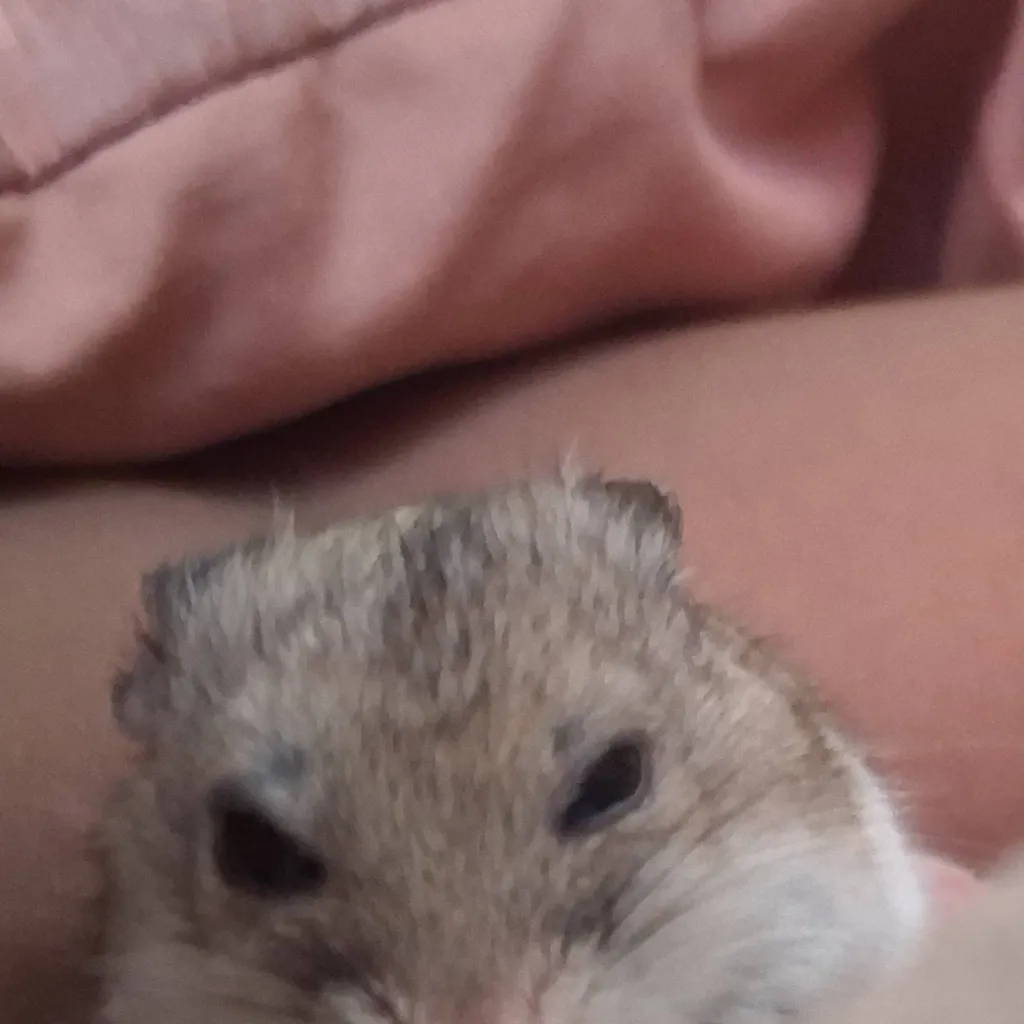 chat with ai character: dandys world trip