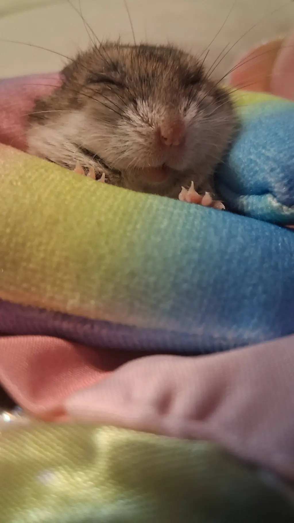 ai character: tadc background