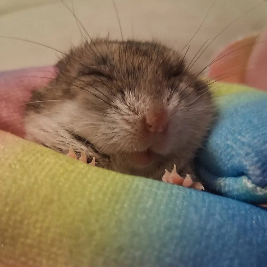 chat with ai character: tadc