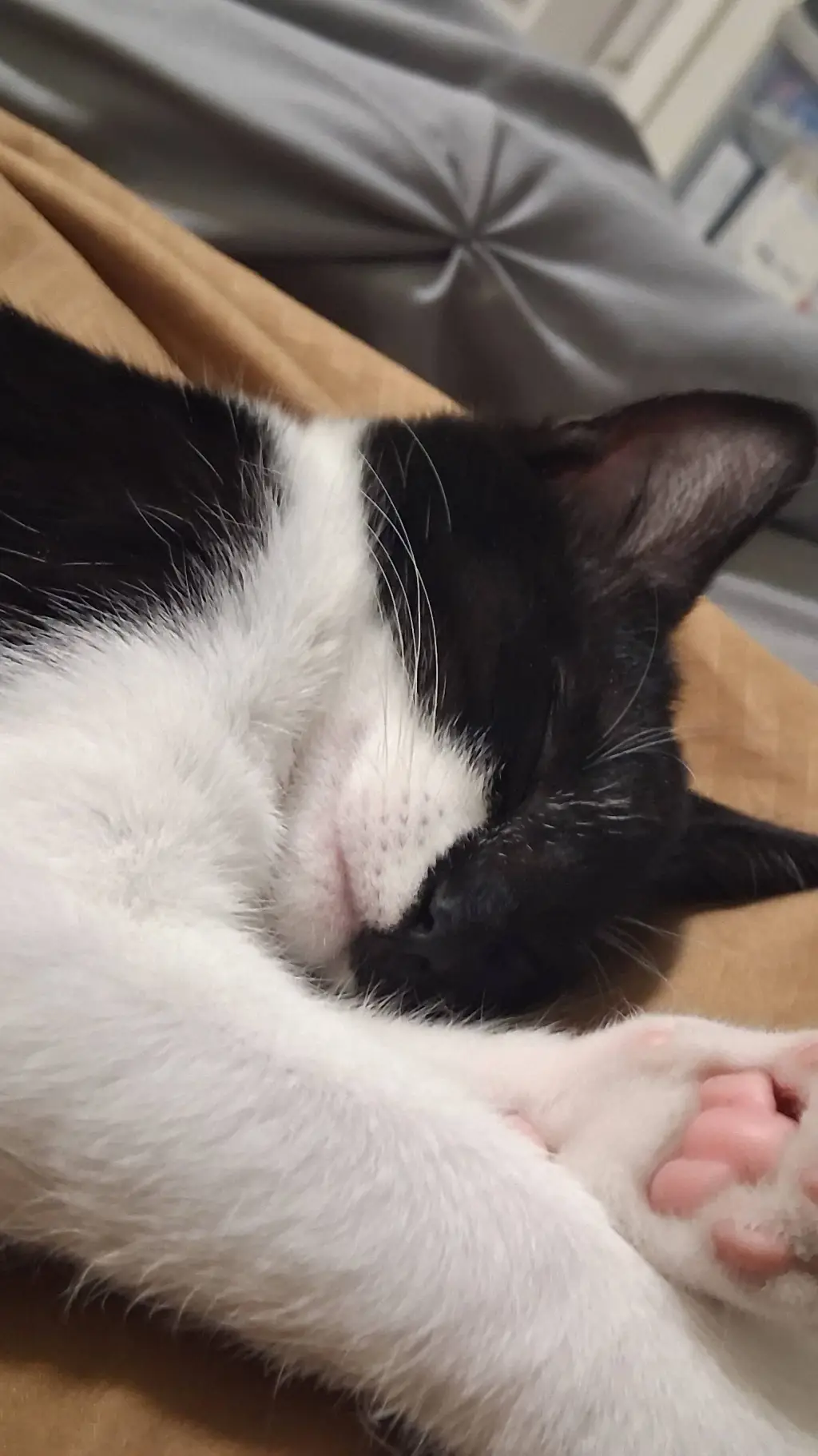 ai character: smiling friends  background