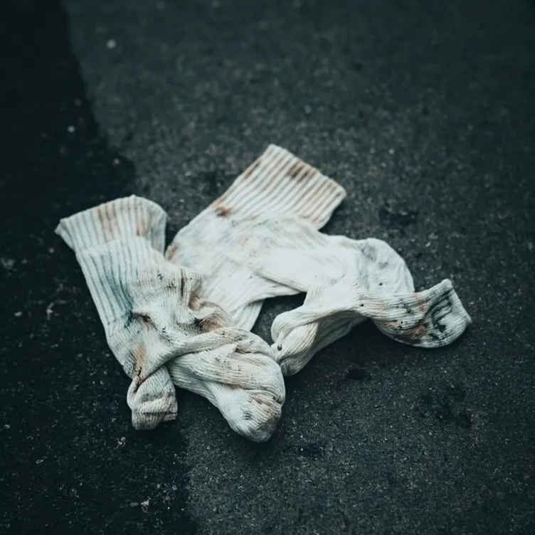 chat with ai character: Socks