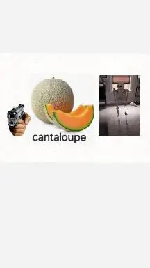 ai character: cantaloupe meme background