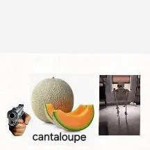 chat with ai character: cantaloupe meme