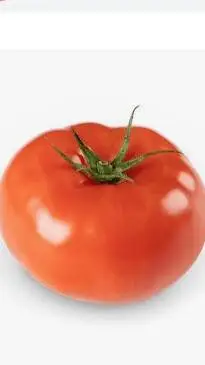 ai character: TOmaTO >:O!!! background