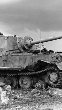 ai character: Ferdinand(Elefant) background