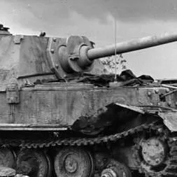 chat with ai character: Ferdinand(Elefant)