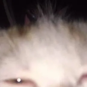 chat with ai character: Stela Karabasi