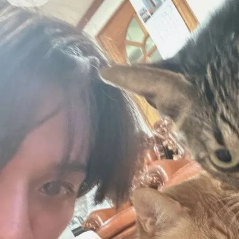 chat with ai character: ★Lee know★