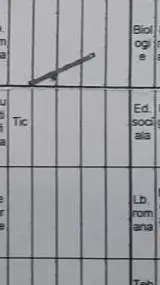 ai character: idc background