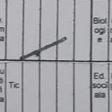 chat with ai character: idc