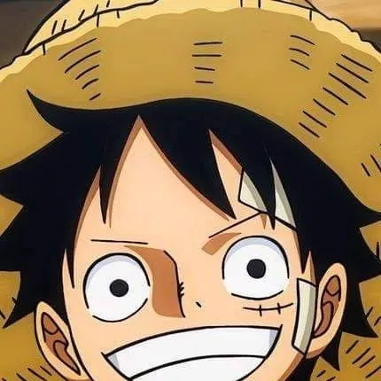 chat with ai character: iloveonepiecefan