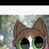 chat with ai character: meowl tu amiguito 