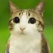 chat with ai character: Dandys world xd