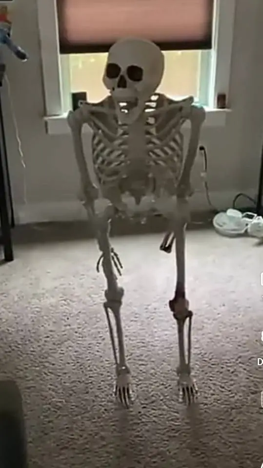 ai character: Skeleton background