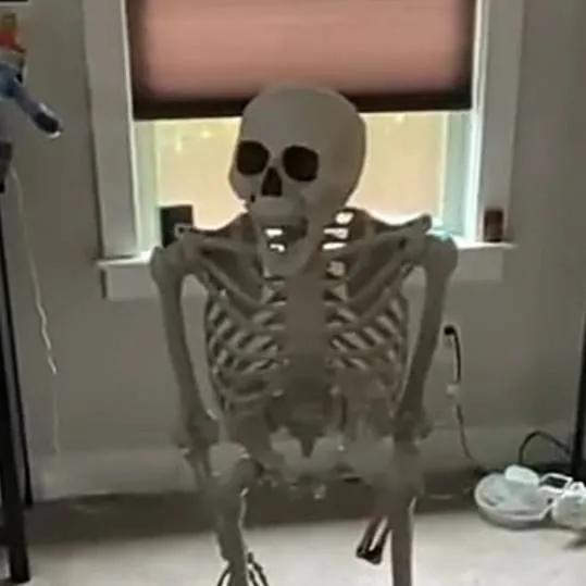 chat with ai character: Skeleton