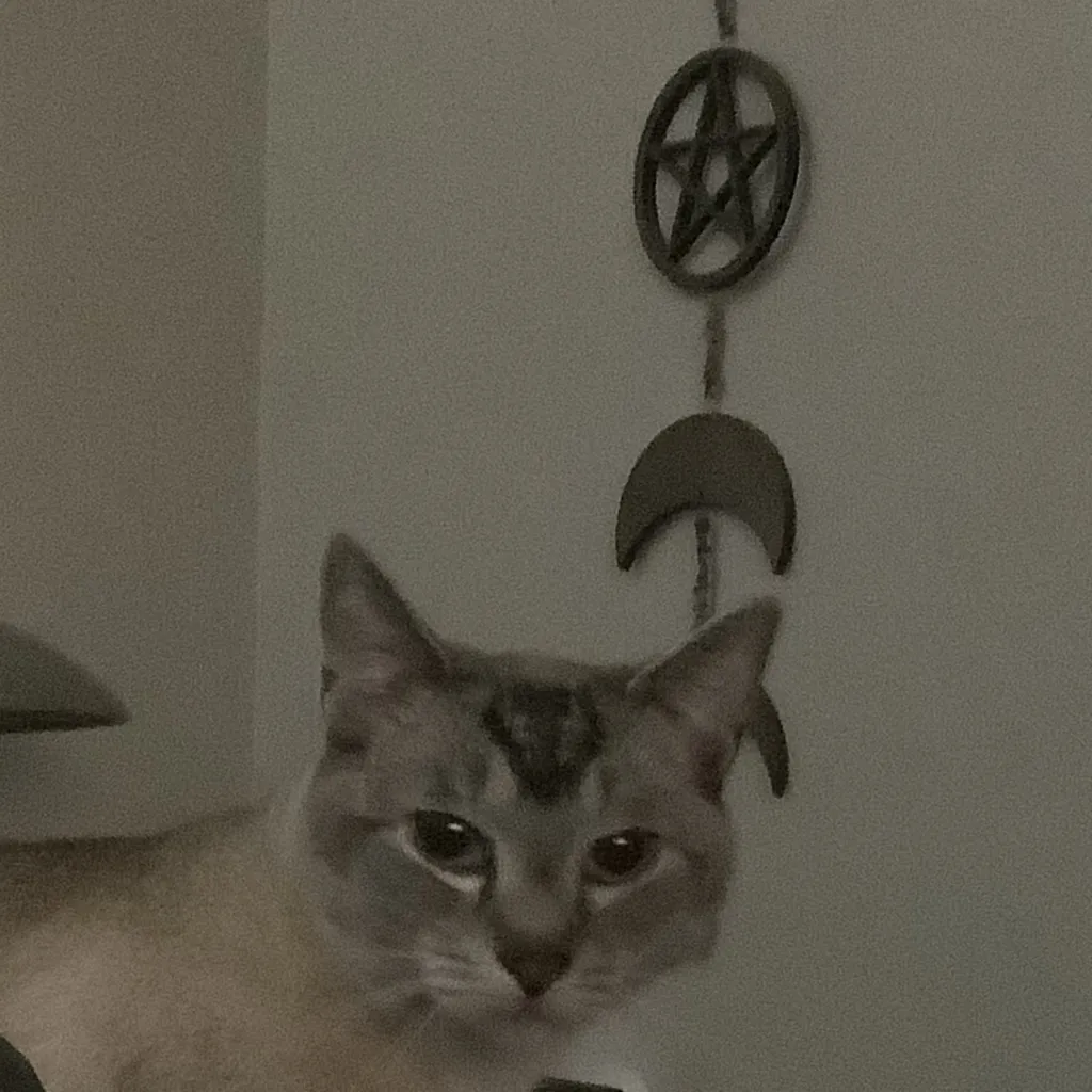 chat with ai character: Cat. 