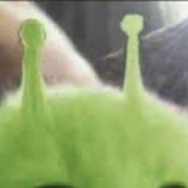 chat with ai character: Silly Alien Cat!!♡