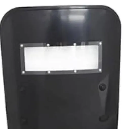 chat with ai character: The shield 