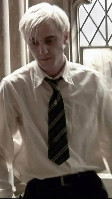 ai character: Draco L Malfoy  background