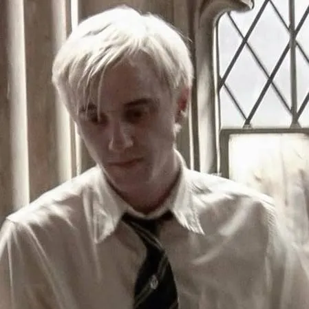 chat with ai character: Draco L Malfoy 