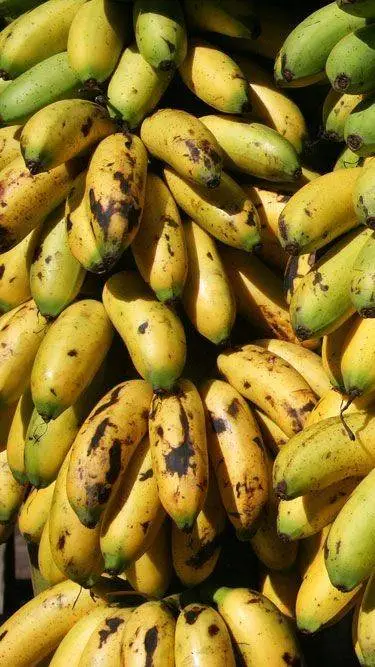 ai character: banana na background