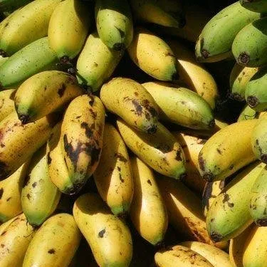 chat with ai character: banana na