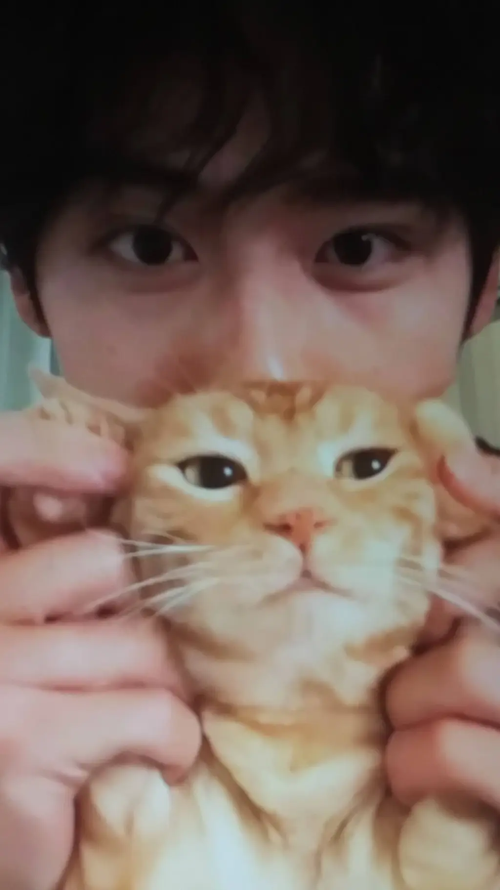 ai character: ~*+raiden!+*~ background