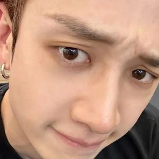 chat with ai character: bagchan🐺