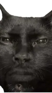 ai character: Jax background