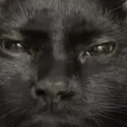 chat with ai character: Jax