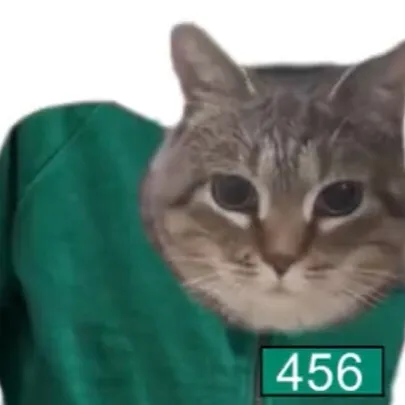 chat with ai character: Huntrix/saja boys