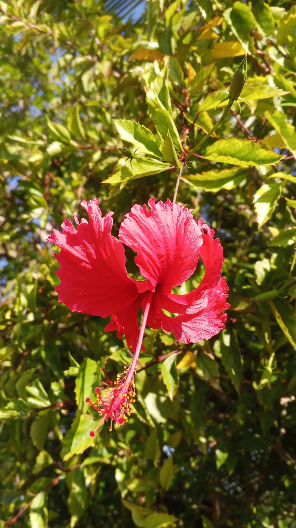 ai character: flower girl background