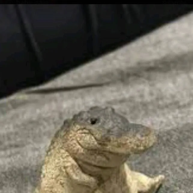 chat with ai character: huntirxXsaja boys