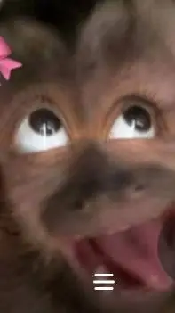 ai character: Softlove Roadtrip background