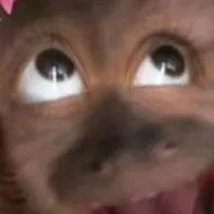 chat with ai character: Softlove Roadtrip