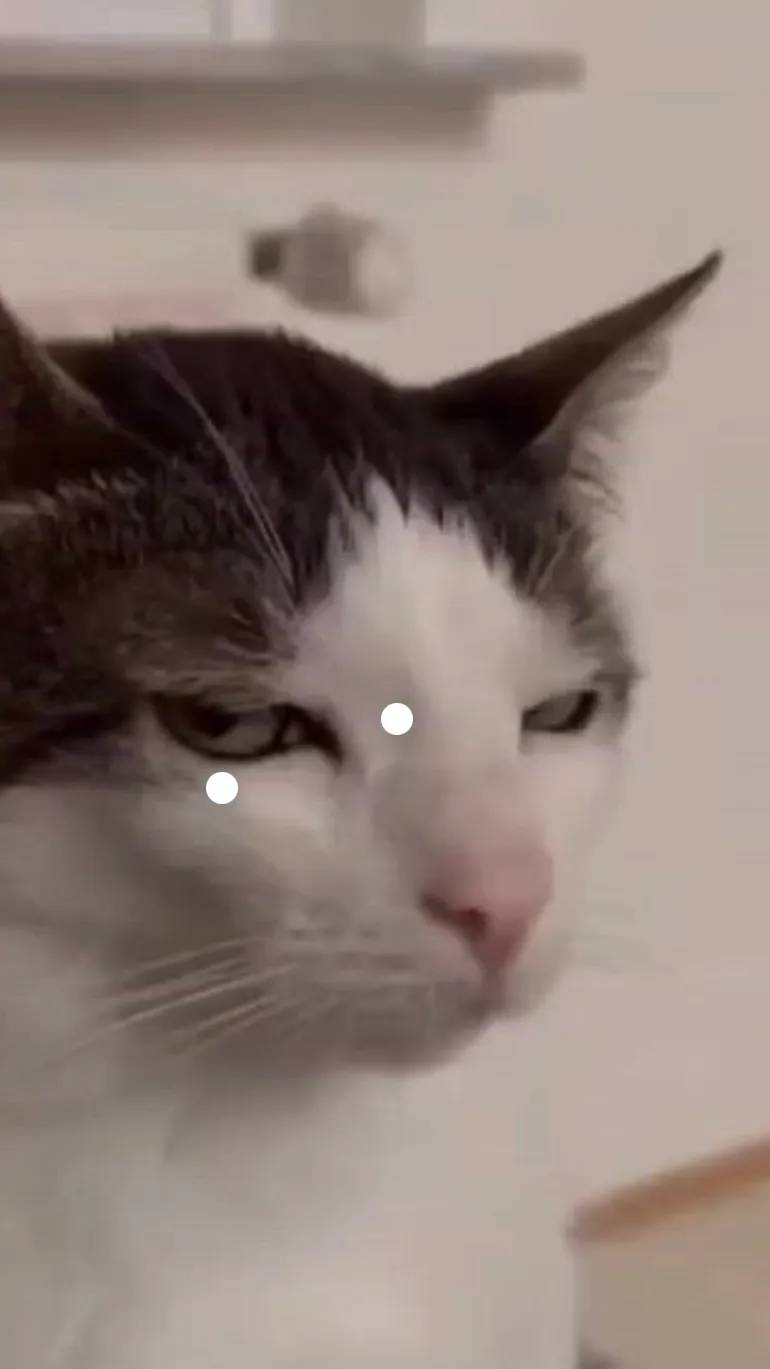 ai character: Side eye kitty background